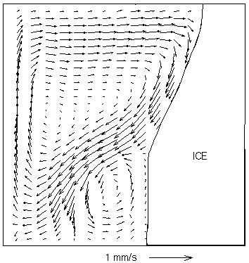 Evaluated velocity field - PIV