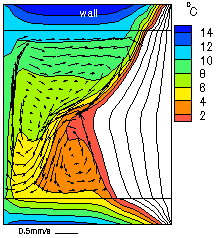 Numerical velocity and temperature fields